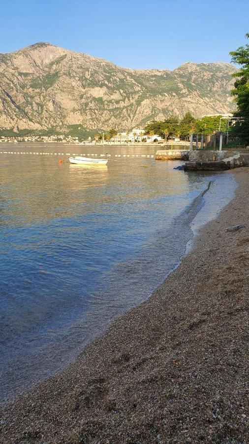 Willa Viva House Kotor Zewnętrze zdjęcie