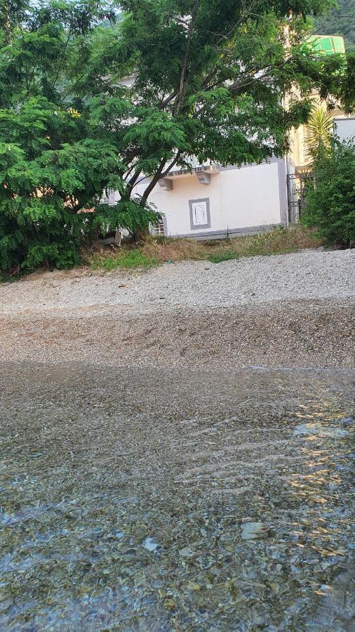 Willa Viva House Kotor Zewnętrze zdjęcie