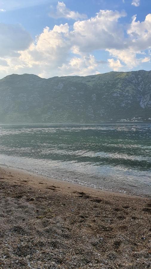 Willa Viva House Kotor Zewnętrze zdjęcie