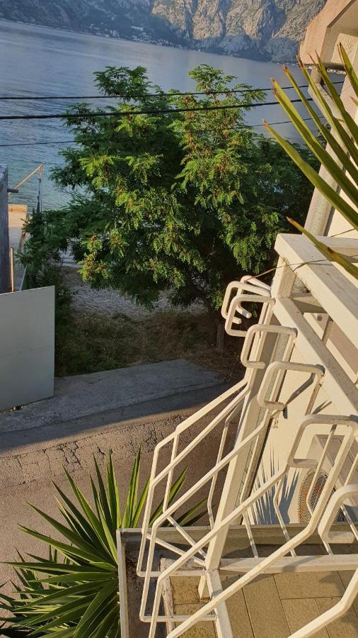 Willa Viva House Kotor Zewnętrze zdjęcie