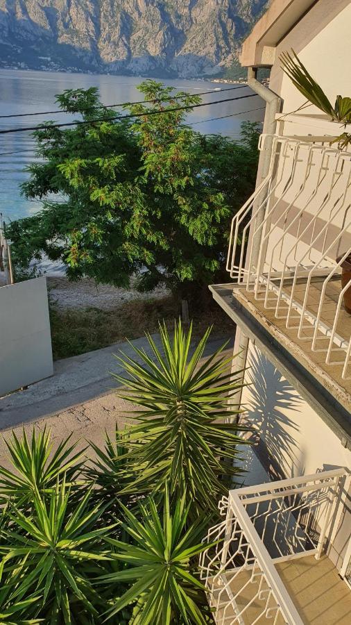 Willa Viva House Kotor Zewnętrze zdjęcie